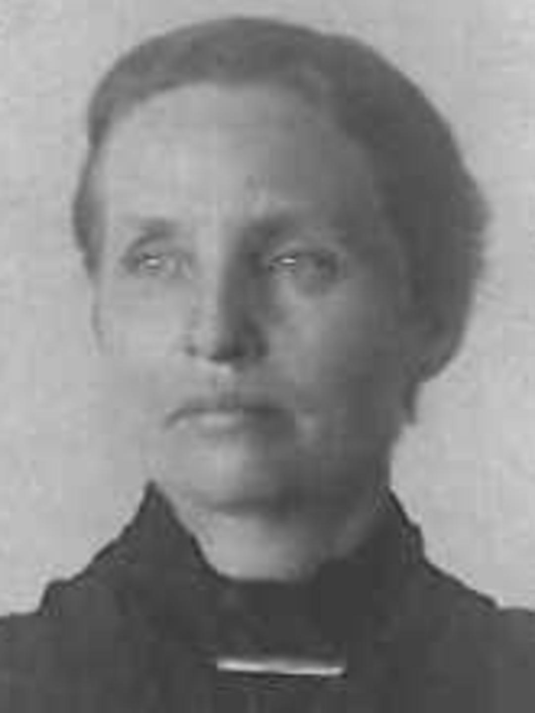 Henrietta Woolley (1843 - 1911) Profile